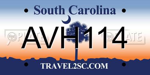 AVH114 South Carolina License Plate