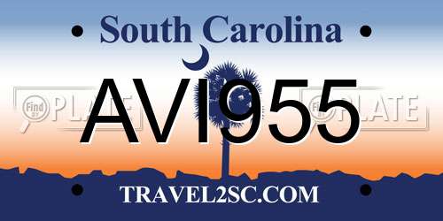 AVI955 South Carolina License Plate