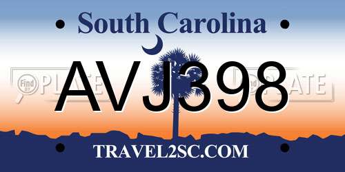 AVJ398 South Carolina License Plate