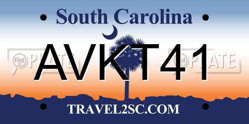 AVKT41 South Carolina License Plate