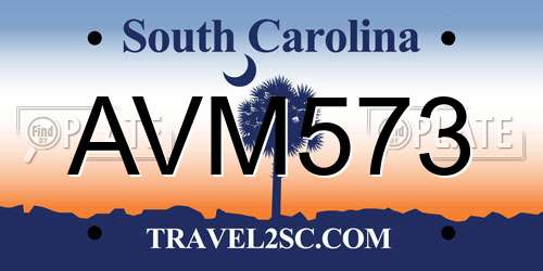 AVM573 South Carolina License Plate