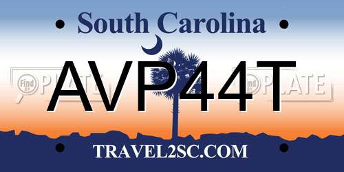 AVP44T South Carolina License Plate