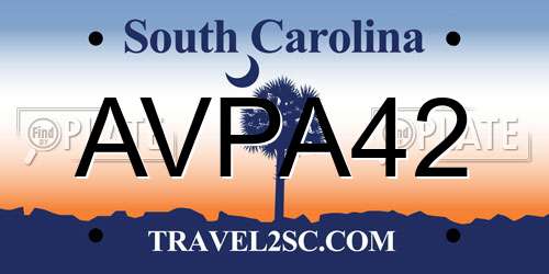 AVPA42 South Carolina License Plate
