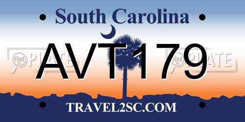 AVT179 South Carolina License Plate