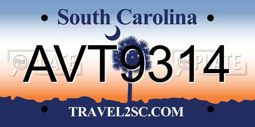AVT9314 South Carolina License Plate