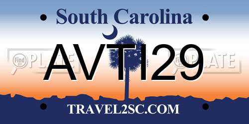 AVTI29 South Carolina License Plate
