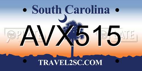 AVX515 South Carolina License Plate