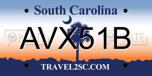 AVX51B South Carolina License Plate