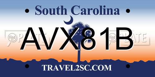 AVX81B South Carolina License Plate