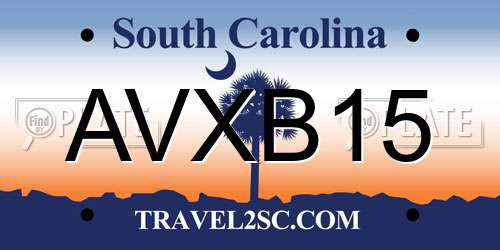 AVXB15 South Carolina License Plate