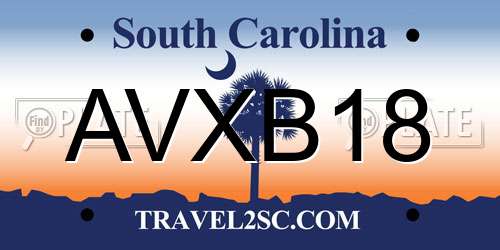 AVXB18 South Carolina License Plate