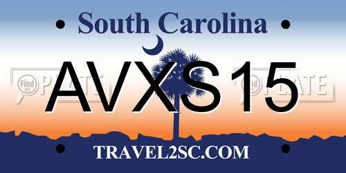 AVXS15 South Carolina License Plate