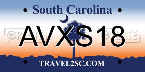 AVXS18 South Carolina License Plate