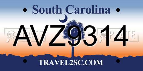 AVZ9314 South Carolina License Plate