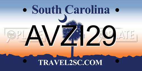 AVZI29 South Carolina License Plate