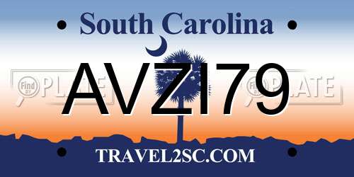 AVZI79 South Carolina License Plate