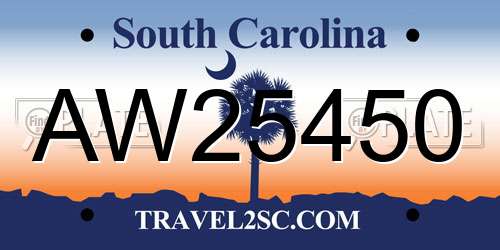 AW25450 South Carolina License Plate