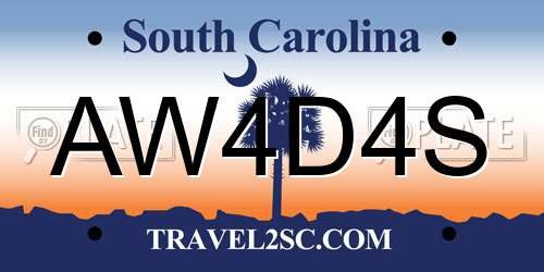 AW4D4S South Carolina License Plate