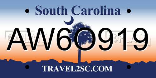 AW6O919 South Carolina License Plate