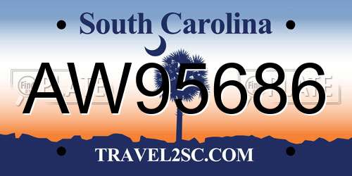 AW95686 South Carolina License Plate