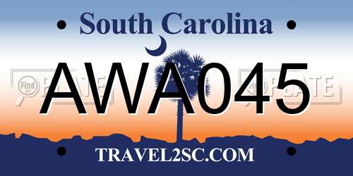 AWA045 South Carolina License Plate