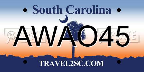 AWAO45 South Carolina License Plate