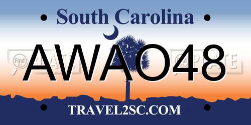 AWAO48 South Carolina License Plate