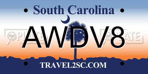 AWDV8 South Carolina License Plate