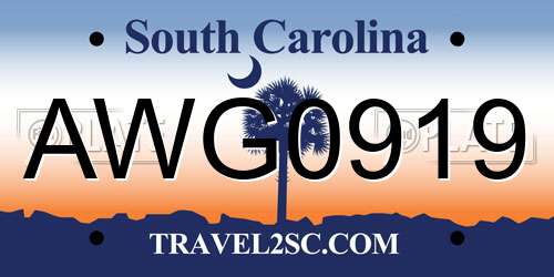 AWG0919 South Carolina License Plate