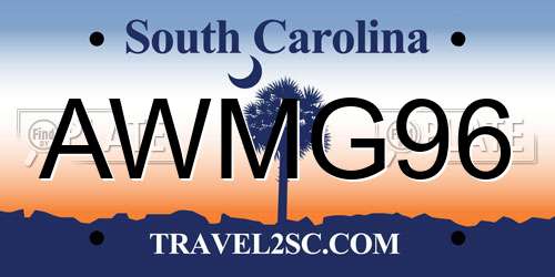 AWMG96 South Carolina License Plate