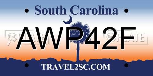 AWP42F South Carolina License Plate