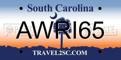 AWRI65 South Carolina License Plate