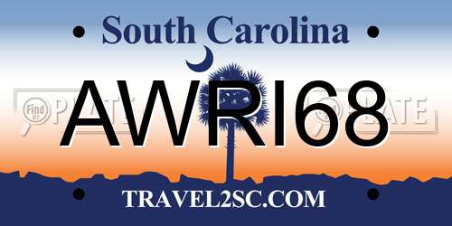 AWRI68 South Carolina License Plate