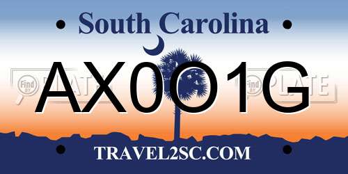 AX0O1G South Carolina License Plate