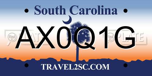 AX0Q1G South Carolina License Plate