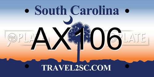 AX106 South Carolina License Plate