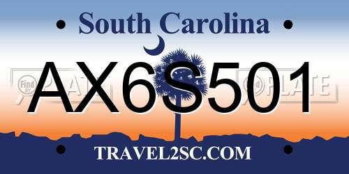 AX6S501 South Carolina License Plate