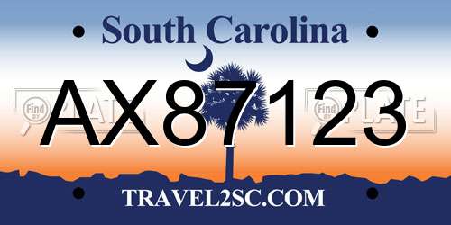 AX87123 South Carolina License Plate