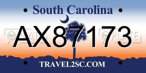 AX87173 South Carolina License Plate