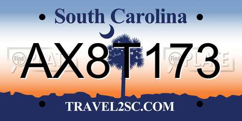 AX8T173 South Carolina License Plate