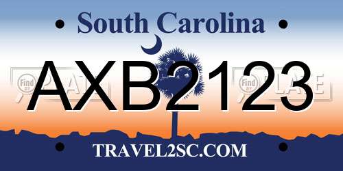 AXB2123 South Carolina License Plate