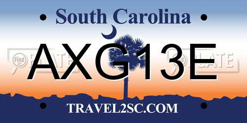 AXG13E South Carolina License Plate