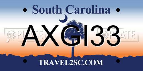 AXGI33 South Carolina License Plate
