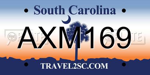 AXM169 South Carolina License Plate