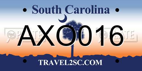 AXO016 South Carolina License Plate
