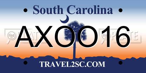 AXOO16 South Carolina License Plate