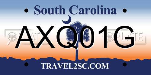 AXQ01G South Carolina License Plate