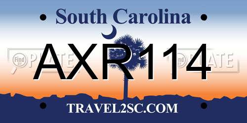 AXR114 South Carolina License Plate