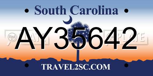 AY35642 South Carolina License Plate