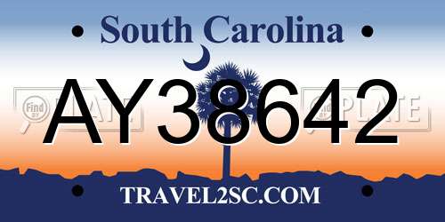 AY38642 South Carolina License Plate
